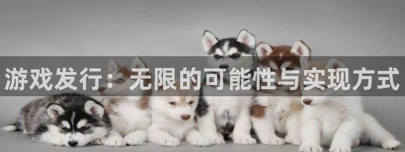 四川bg大游科技有限公司