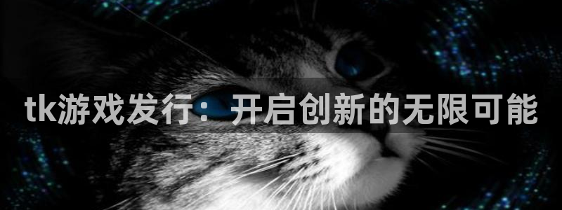 bg大游技术有限公司招聘：tk游戏发行：开启创新的无限可能