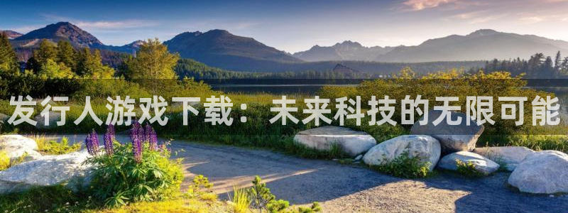 陕西bg大游子文化创意骗局：发行人游戏下载：未来科技的无限可能