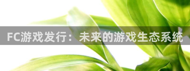 bg大游官网客服招聘