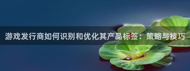 bg大游官网登录注册账号安全吗可靠吗：游戏发行商如何识别和优化其产品标签：策略与技巧