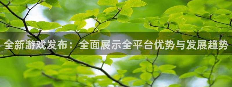 bg大游球队：全新游戏发布：全面展示全平台优势与发展趋势