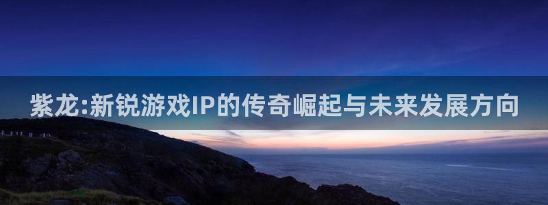 陕西bg大游子文化创意是什么：紫龙:新锐游戏IP的传奇崛起与未来发展方向