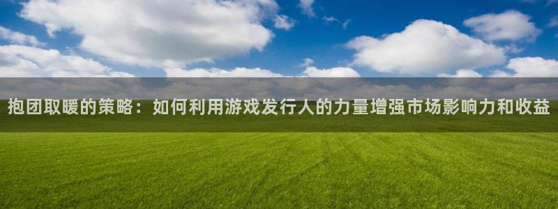 bg大游子财经丛书有哪些：抱团取暖的策略：如何利用游戏发行人的力量增强市场影响力和收益