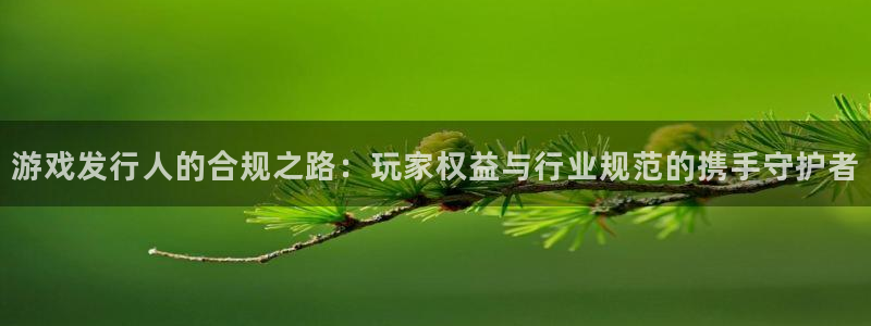 bg大游电子商务有限公司招聘：游戏发行人的合规之路：玩家权益与行业规范的携手守护者