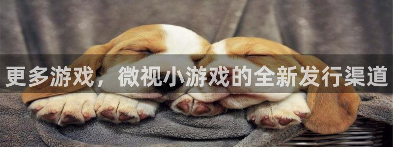 bg大游干红葡萄酒750毫升多少钱