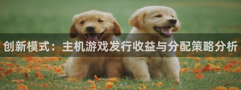 bg大游子的图片：创新模式：主机游戏发行收益与分配策略分析