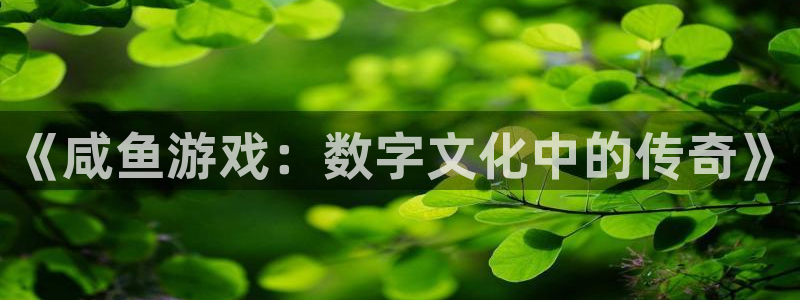 bg大游子文化是干嘛的：《咸鱼游戏：数字文化中的传奇》