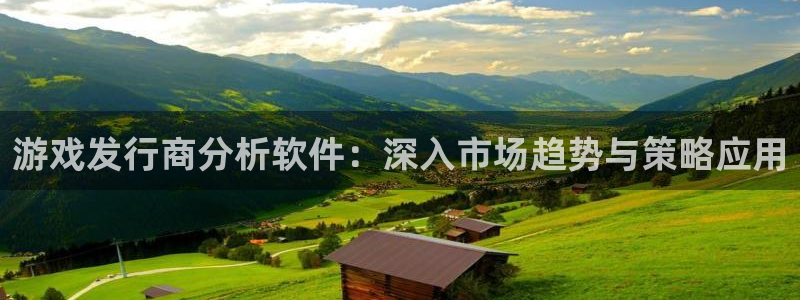 bg大游子文化是干什么的：游戏发行商分析软件：深入市场趋势与策略应用