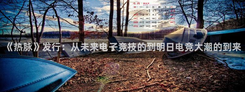 深圳bg大游电商：《热脉》发行：从未来电子竞技的到明日电竞大潮的到来